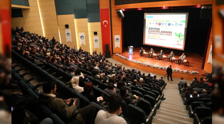 Artma amurlar Tartld