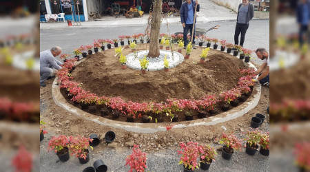 Karasu'da Park Baheler Birok Alanda almalarna Devam Ediyor