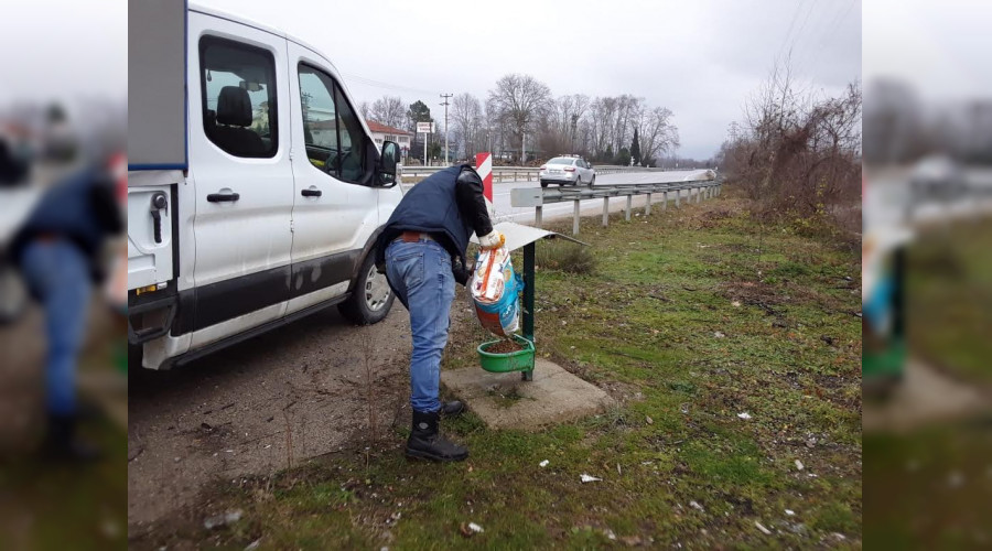 SOUK HAVALARDA SOKAK HAYVANLARI A KALMAYACAK