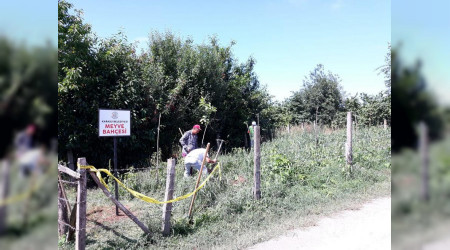 Karasu BelediyesiMeyve Bahesi in Fideler Toprakla Bulutu