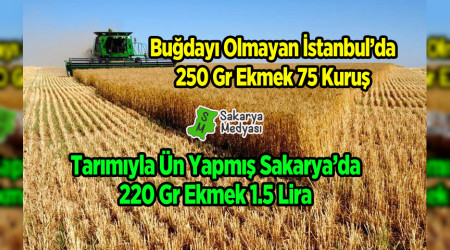 STANBUL'DA OLDUU GB SAKARYA'DA DA EKMEK UCUZ OLSUN...