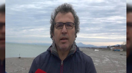 Yunus balıklarının öldürülmesi hakkında