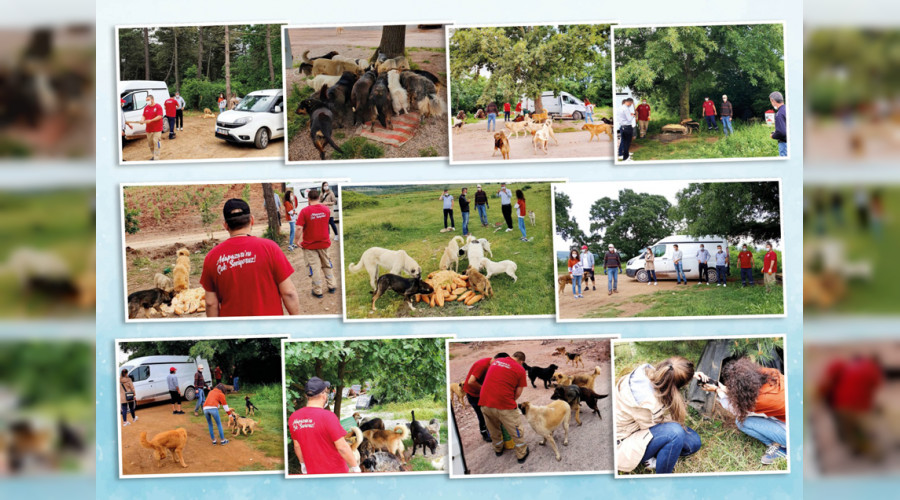 Adapazar�'nda Bayram Sessiz Canlara da Vard�