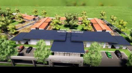 Bakan Yceden hayvan severlere mjdeli haber