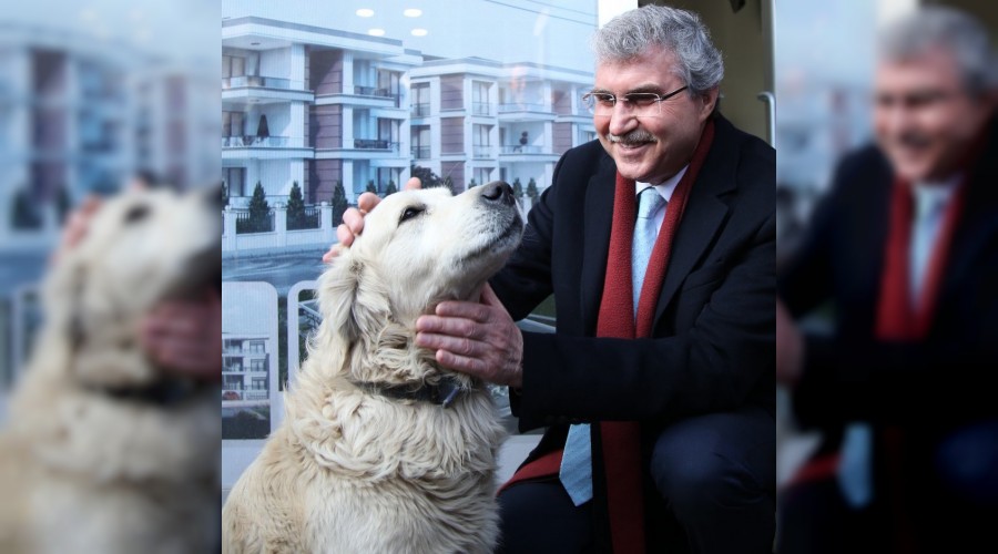 Bakan Yceden hayvan severlere mjdeli haber