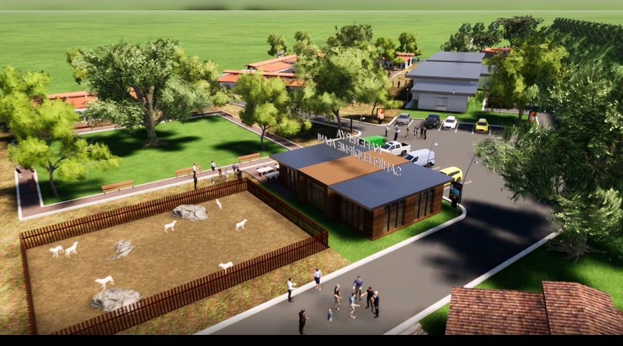 Bakan Yceden hayvan severlere mjdeli haber