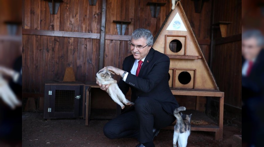 Bakan Yceden hayvan severlere mjdeli haber