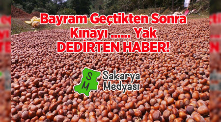 BAYRAM GETKTEN SONRA?.. FINDIKIYA MJDE!