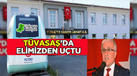 SAKARYA'MIZIN DEĞERLERİ BİR BİR ELİMİZDEN GİDİYOR!