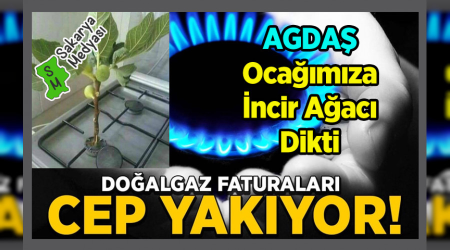 VATANDA� TEK ODADA SOBA YAKMAYA BA�LADI...