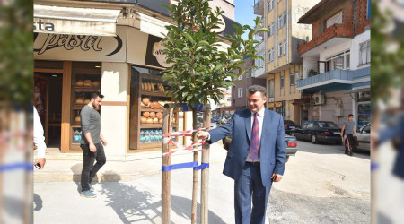 Yeşil Bir Karasu İçin Ağaçlandırma Çalışmalarımız Devam Ediyor