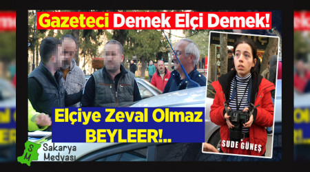 GAZETEC� DEMEK EL�� DEMEK!..