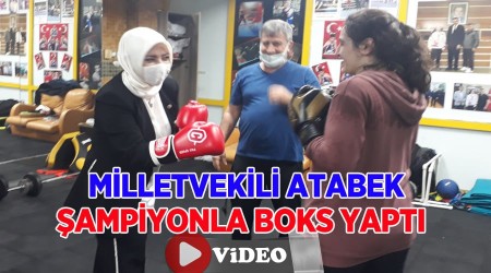 MLLETVEKL ATABEK AMPYONLA BOKS YAPTI