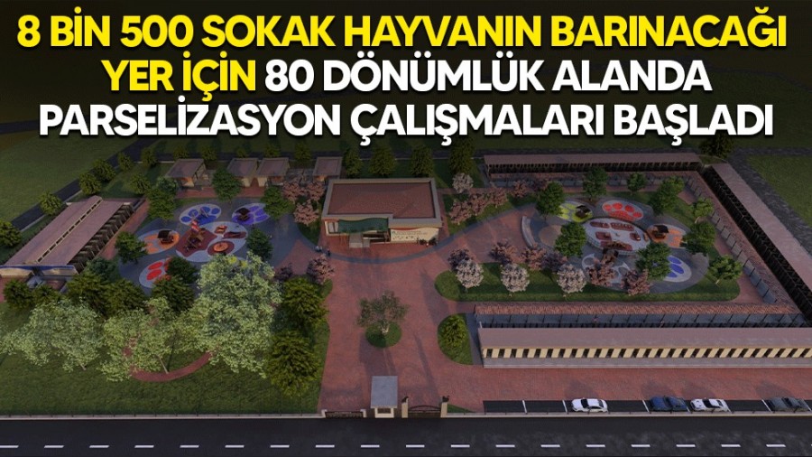 Sakarya'da 8 bin 500 sokak hayvann barnaca yer