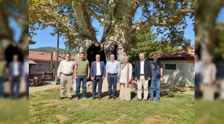 Sakaryal Sanatdan Tarakl'da Klip ekimi