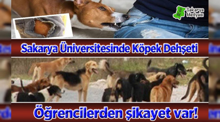 SA�'DE BA�IBO� K�PEKLER DEH�ET SA�IYOR!..