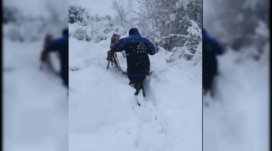 SEDAޒta Kar Nbeti Aralksz Devam Ediyor.