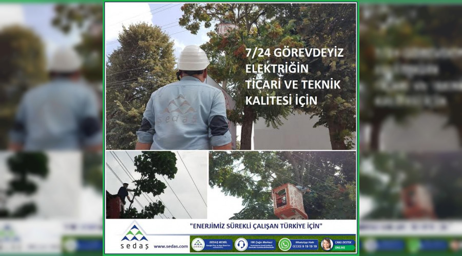 SEDA kaliteli enerji iin aa budama almalarna arlk veriyor
