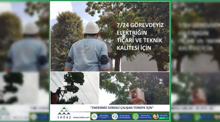 SEDA kaliteli enerji iin aa budama almalarna arlk veriyor