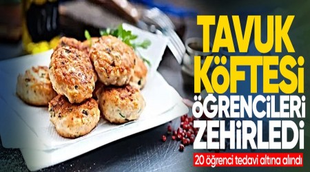 Tavuk kftesi rencileri zehirledi