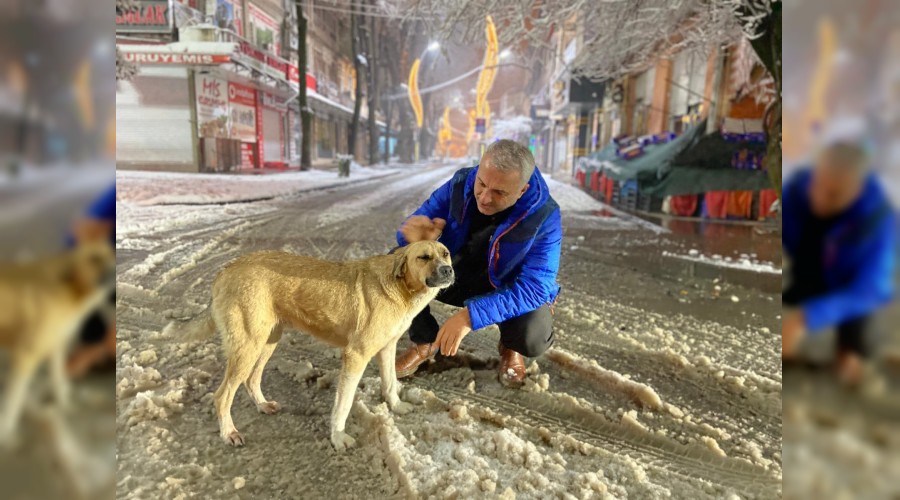 BAKAN BABAOLUNDAN YOUN KAR MESAS