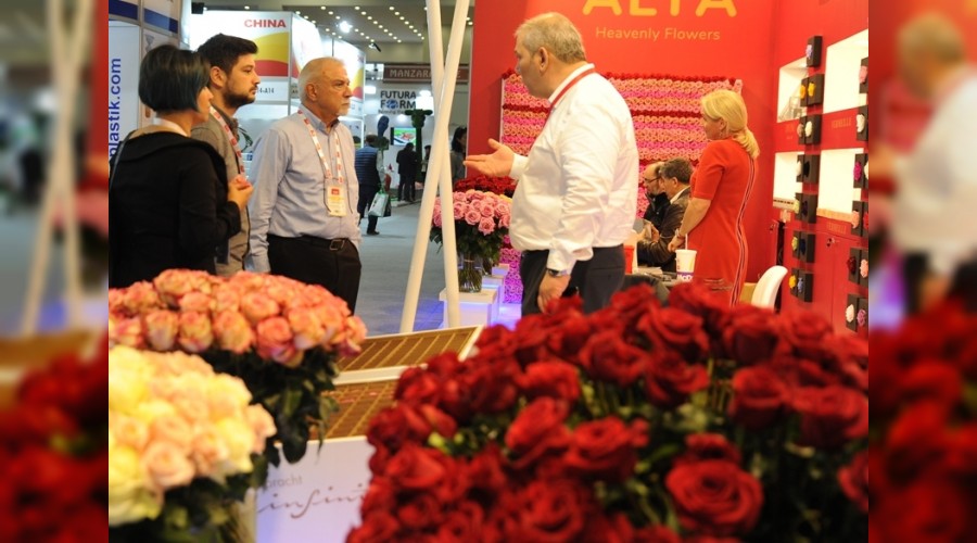 Blgenin uluslararas bulumas