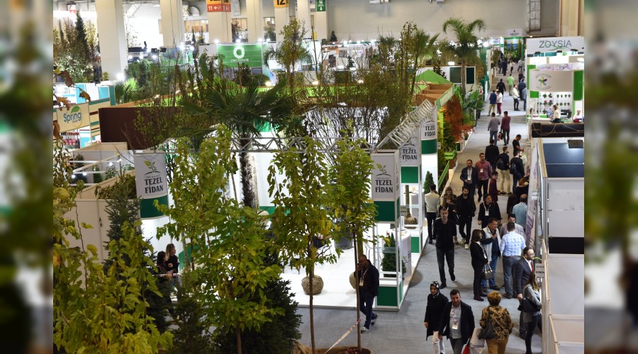 Blgenin uluslararas bulumas