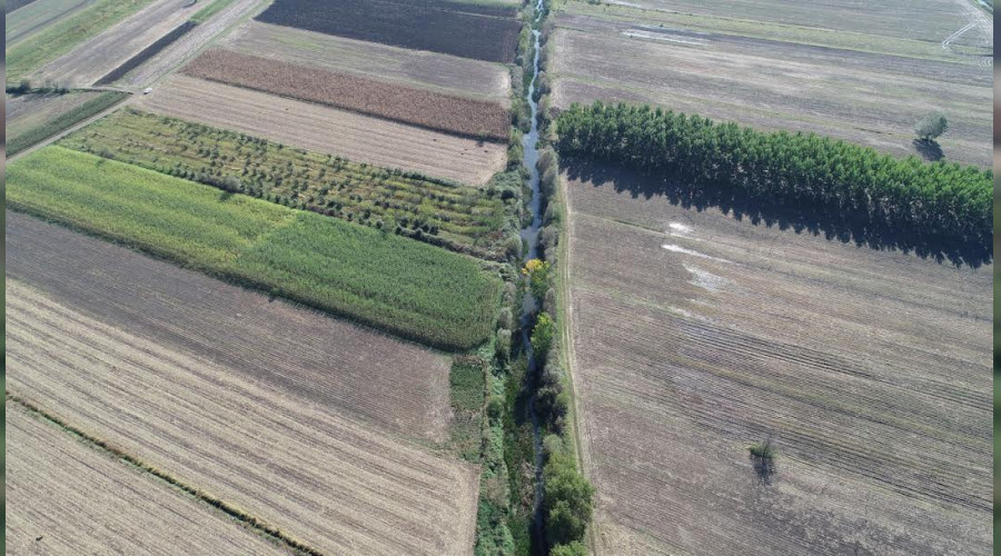 Go?kc?eo?ren'e Hayat Verecek