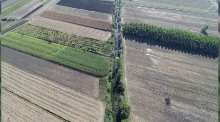 Go?kc?eo?ren'e Hayat Verecek