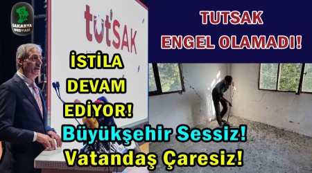 Kahverengi kokarca kabusu sryor! Bu kez evleri istila ettiler
