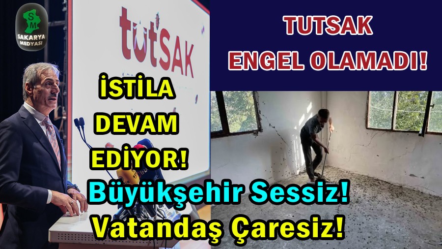 Kahverengi kokarca kabusu sryor! Bu kez evleri istila ettiler