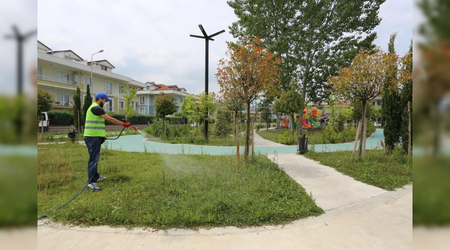 Serdivan'da İlaçlama Çalışmaları Hız Kazandı