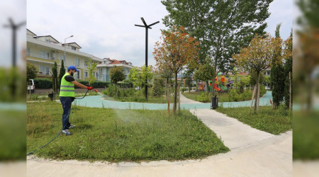 Serdivan'da İlaçlama Çalışmaları Hız Kazandı