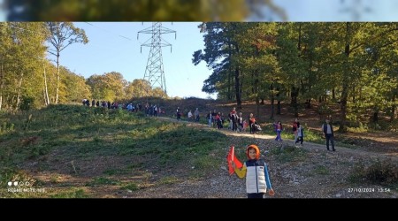 Asriad Sakarya 101. Yla zel 101 adet Defne Fidan Dikimi gerekletirdi.