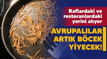 Avrupallar artk bcek yiyecek!