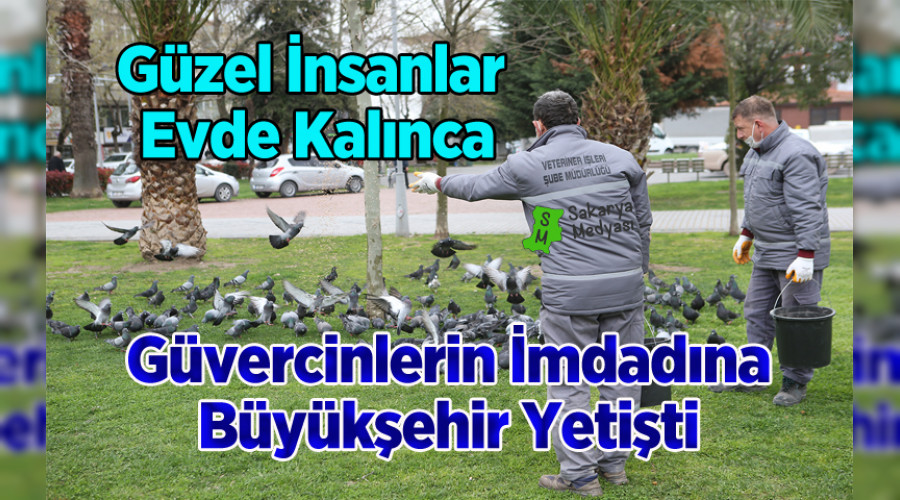 �ehir ku�lar�na B�y�k�ehir deste�i