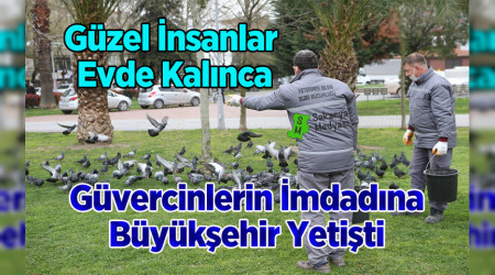 �ehir ku�lar�na B�y�k�ehir deste�i