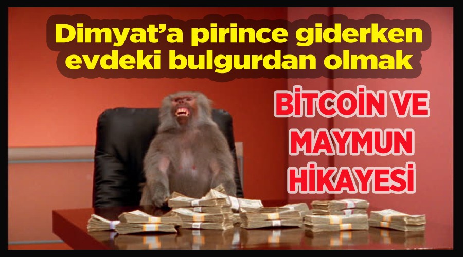 BTCON'E PARA YATIRMADAN EVVEL!..