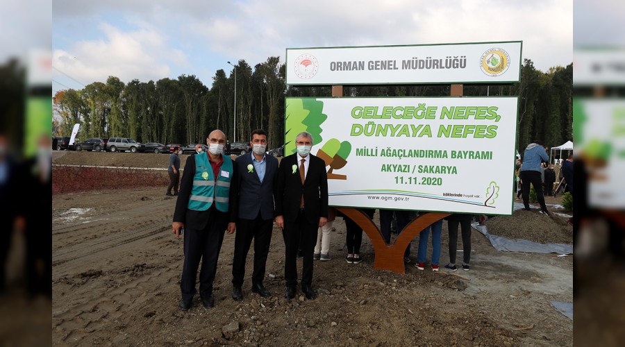 Fidanlar toprakla bulutu