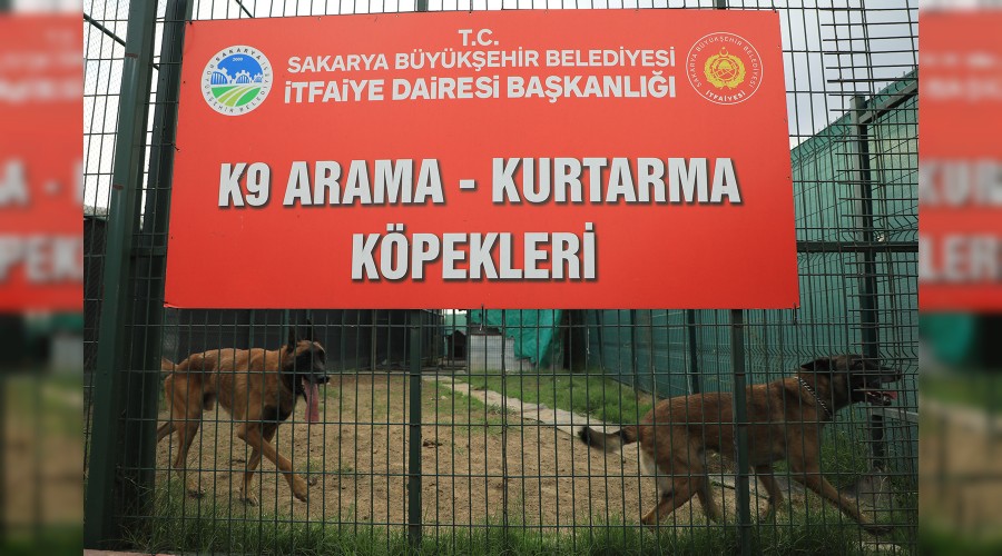 K9lar arama kurtarma almalar iin zmire gidiyor