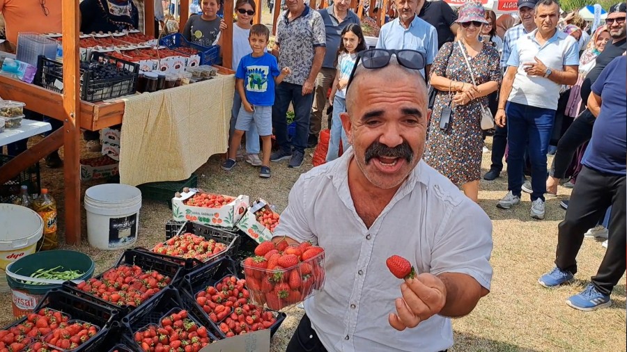 Sakaryada ilek Festivali dzenlendi