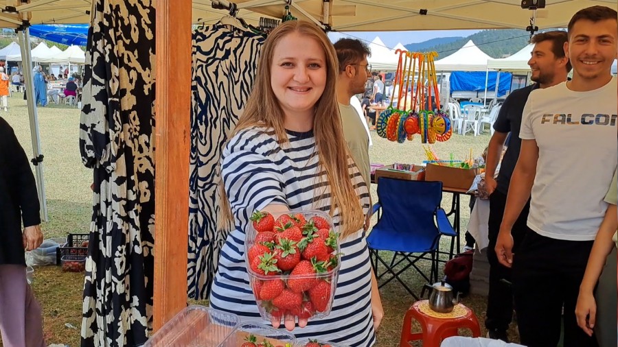 Sakaryada ilek Festivali dzenlendi