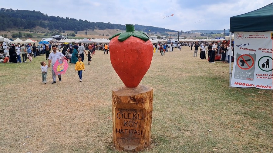 Sakaryada ilek Festivali dzenlendi