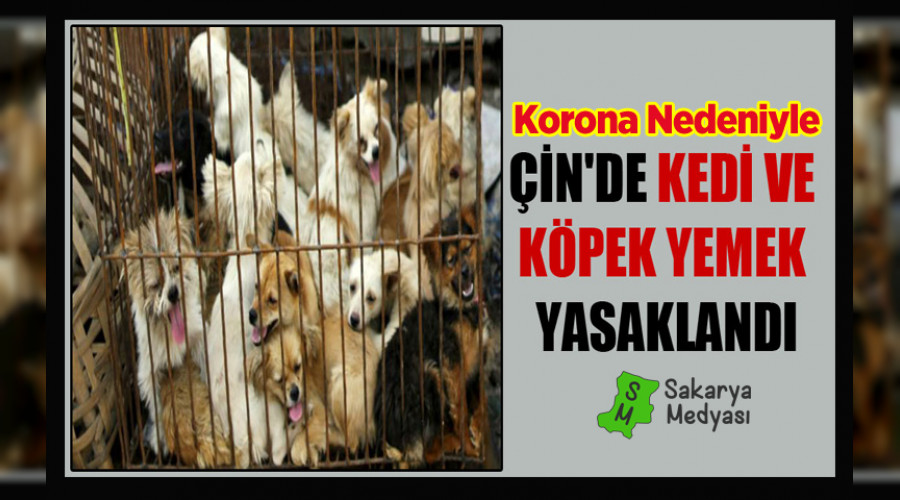 KORONA NEDEN�YLE ��N'DE KED� VE K�PEK YEMEK YASAKLANDI!..