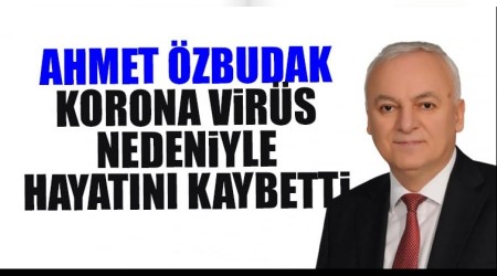 Meclis �yesi koronaya yenildi