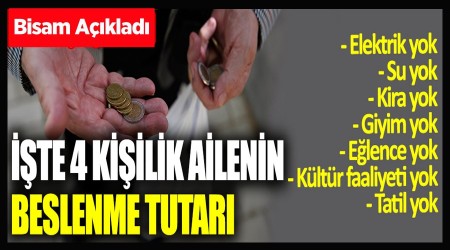 te, drt kiilik ailenin mutfak masraf