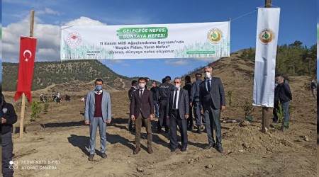 DAHA YE��L B�R TARAKLI ���N...