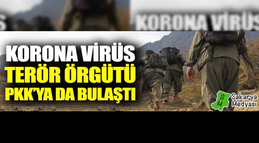 Korona virs terr rgt PKK'ya da bulat