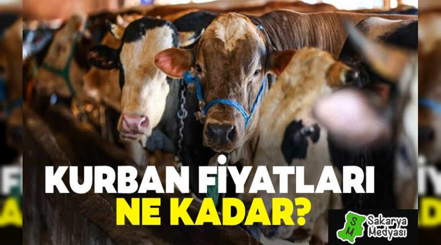 2019 KURBANLIK FİYATLARI NETLEŞTİ