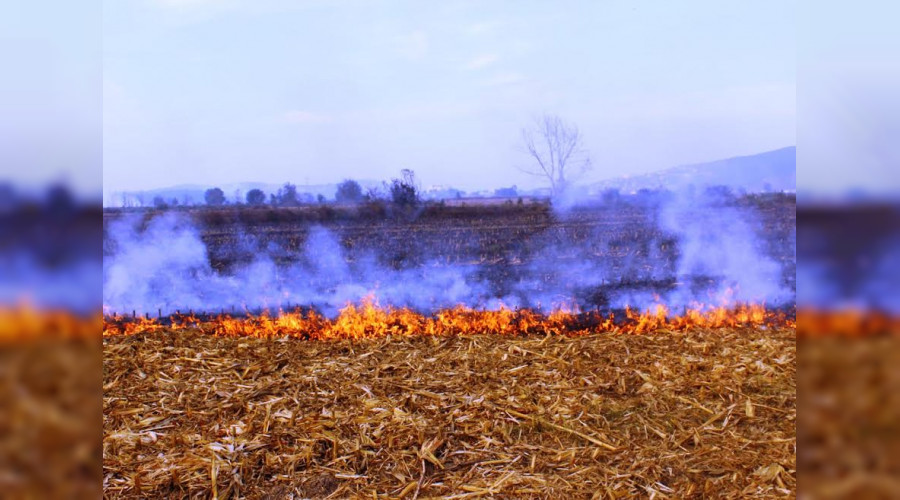 Anz yangnlar toprak verimliliini drr